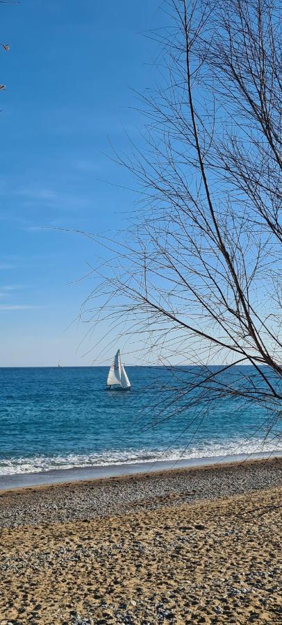 Villa Ange Azur 2 Villeneuve-Loubet Eksteriør billede
