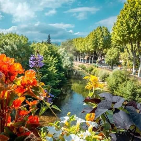 Villa Ange Azur 2 Villeneuve-Loubet Eksteriør billede