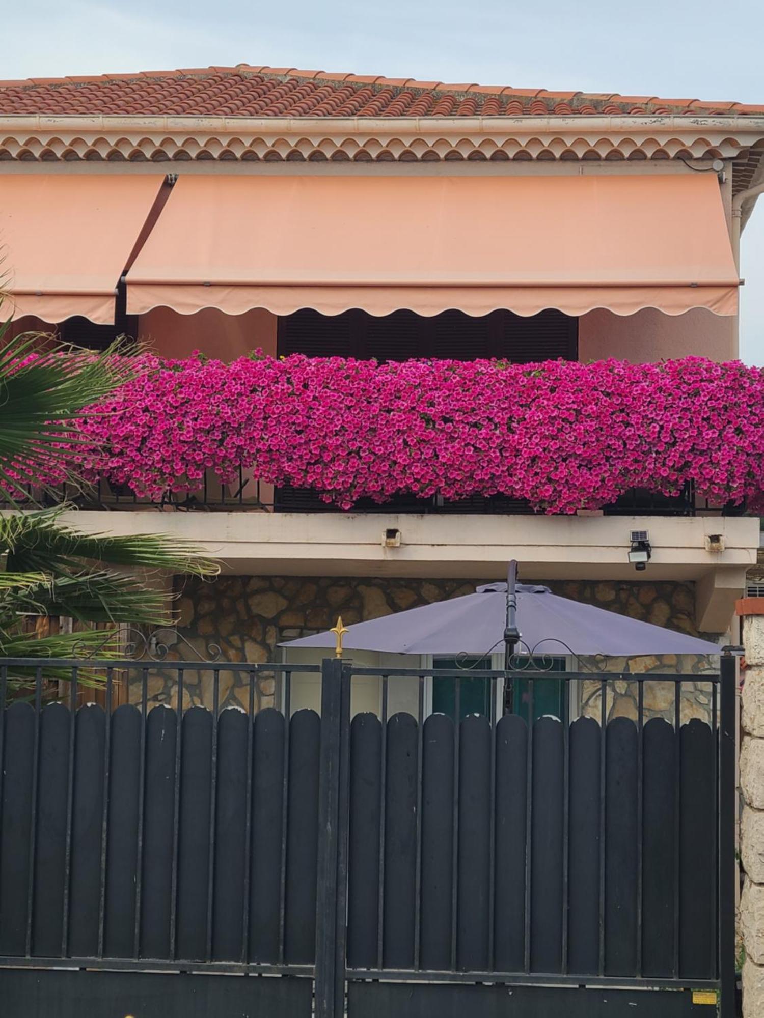 Villa Ange Azur 2 Villeneuve-Loubet Eksteriør billede